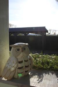 Ferienhaus Strandkiefer