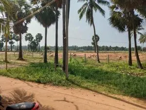 Villa 4B amidst nature & peacocks 12 - Paramagudi