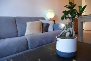 Appartements Appartement au calme avec piscine & salle de sport : photos des chambres