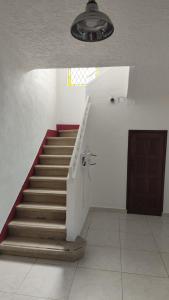 Suite Ajolote by Casa Morena