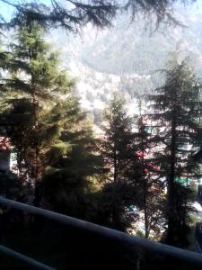 Himalayan Hostel Triund Trekking Hostel