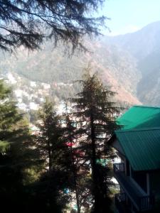 Himalayan Triund Trekking and Waterfalls View Hostel