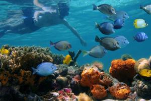 Jawys House, Puerto Viejo, Limón