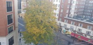 Entire Studio Aptartment on Main Edgware road, Near Marble arch, Oxford Street and Hyde Park