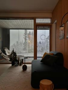 Ski-In Levi, Auroras On the Mountain