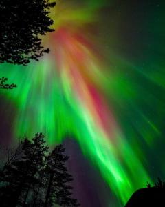 Perinteinen mökki, walking distance from centre