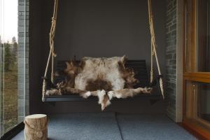 Ski-In Levi, Auroras On the Mountain