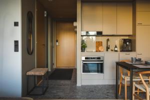 Ski-In Levi, Auroras On the Mountain