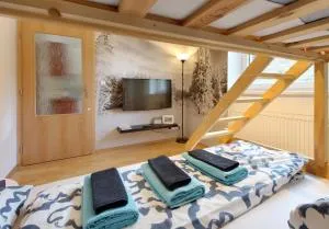 Apartment Michaela - Pec pod Sněžkou