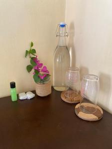 Noahs Ark Transit Stay