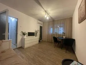 Studio Coanda - Cârcea