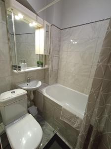 Comfortable modern apartment