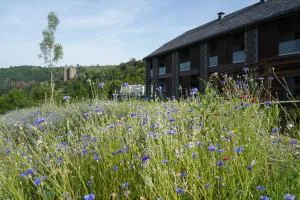 La Borie d'Hélipse - 拉维西尔