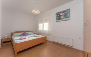 Stunning Apartment In Zdrelac With Wifi