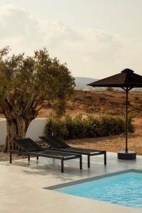 Isychos House - Tranquil Oasis
