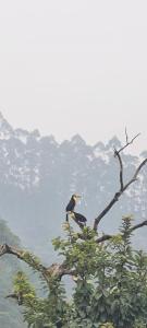 Casa aconchegante em Pomerode