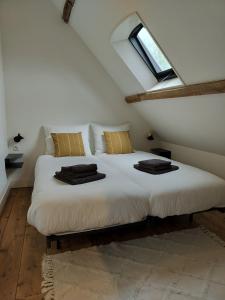 B&B Hof Baaiweg met Barrelsauna