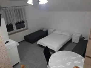 Zielone Zacisze - Chrusty