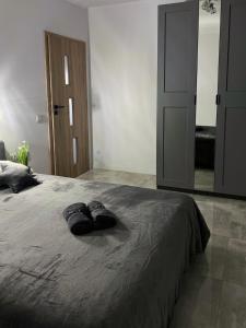 Vista apartment2