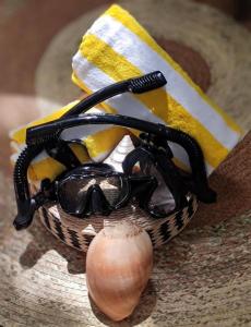 Firesky Glamping Ocam Ocam Beach