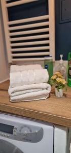 Carol - City Vibes Studio