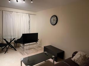 Holland 2 weeks plus Apt -No party please