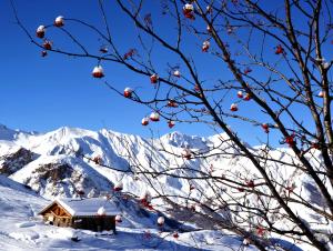 Appart'hotels Azureva Les Menuires : photos des chambres