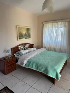 Sarah Mini Apartment - 科洛皮奥