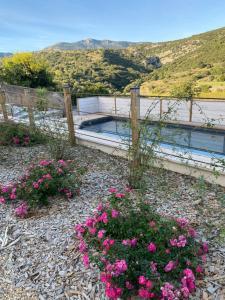 Maisons de vacances Gite Aigues Vives - Les Jardins : photos des chambres