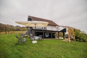 Apartment Trta with Vineyard View