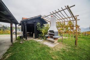 Apartment Trta with Vineyard View