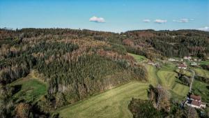 Chalets Refuge au coeur des Vosges : photos des chambres