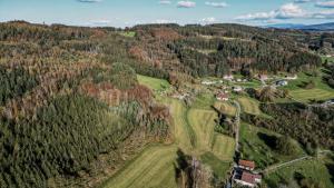 Chalets Refuge au coeur des Vosges : photos des chambres