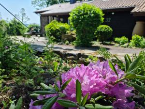 Ferienhaus Vogelsbergblick, Fernblick, Sauna, Kamin, 1700m eingezäunt in Alleinlage