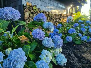 Ferienhaus Vogelsbergblick, Fernblick, Sauna, Kamin, 1700m eingezäunt in Alleinlage