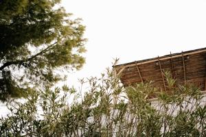 Casette Masseria La Camardia