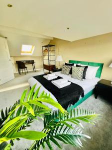 Modern 5 Bed 3 Bath House