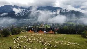 Salamandra SPA Sauny, Tężnia, panorama Tatr - Косьцелісько