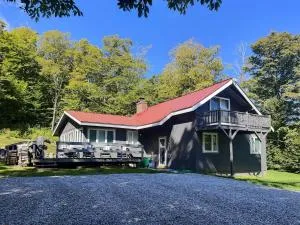 Alpine Chalet- Grill, Fire pit, Pool - Mendon