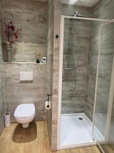 Appartements A louer beau deux-pieces St-Etienne-de-Tinee : photos des chambres