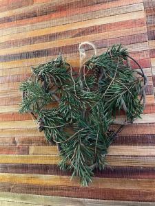 Appartements A louer beau deux-pieces St-Etienne-de-Tinee : photos des chambres