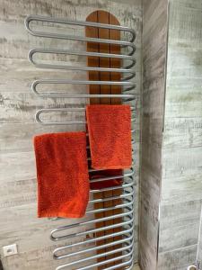 Appartements A louer beau deux-pieces St-Etienne-de-Tinee : photos des chambres