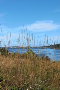 Maisons de vacances Villa pour 6 pers - vue mer - 5 min d-un site magnifique - Lanmodez - Paimpol, Cotes d-Armor, Bretagne : photos des chambres