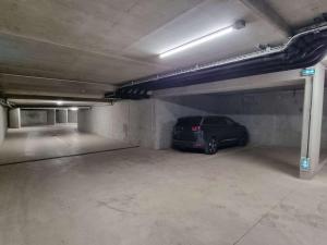 Appartements Appartement luxueux 3 pieces, spa prive, skis aux pieds - FR-1-810-21 : photos des chambres