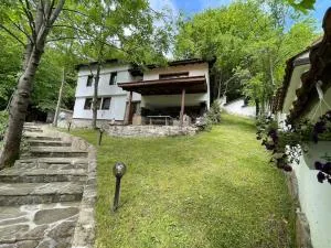 Forest Hill - Beli Osum