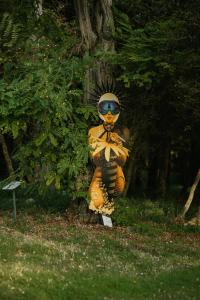 B&B / Chambres d'hotes Chateau de Candes - Art & Spa : photos des chambres