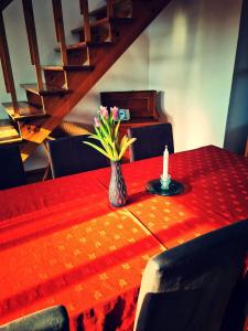 Ferienhaus am Pferdehof