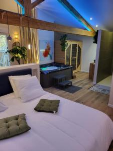 Maisons d'hotes Suite l-Olive Sacree Spa et Sauna : Studio avec Baignoire Spa