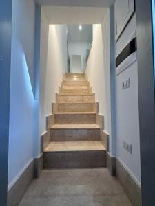 HV Suites TRIBUNALIUM