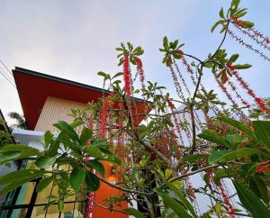 DelZiaNa Bara Villa Pakbara Satun พักได้ 6 ท่าน